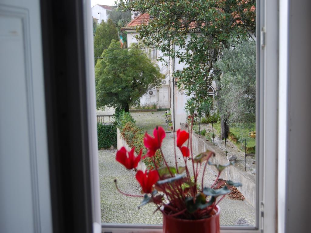 Adore Portugal Coimbra Guest House Buitenkant foto